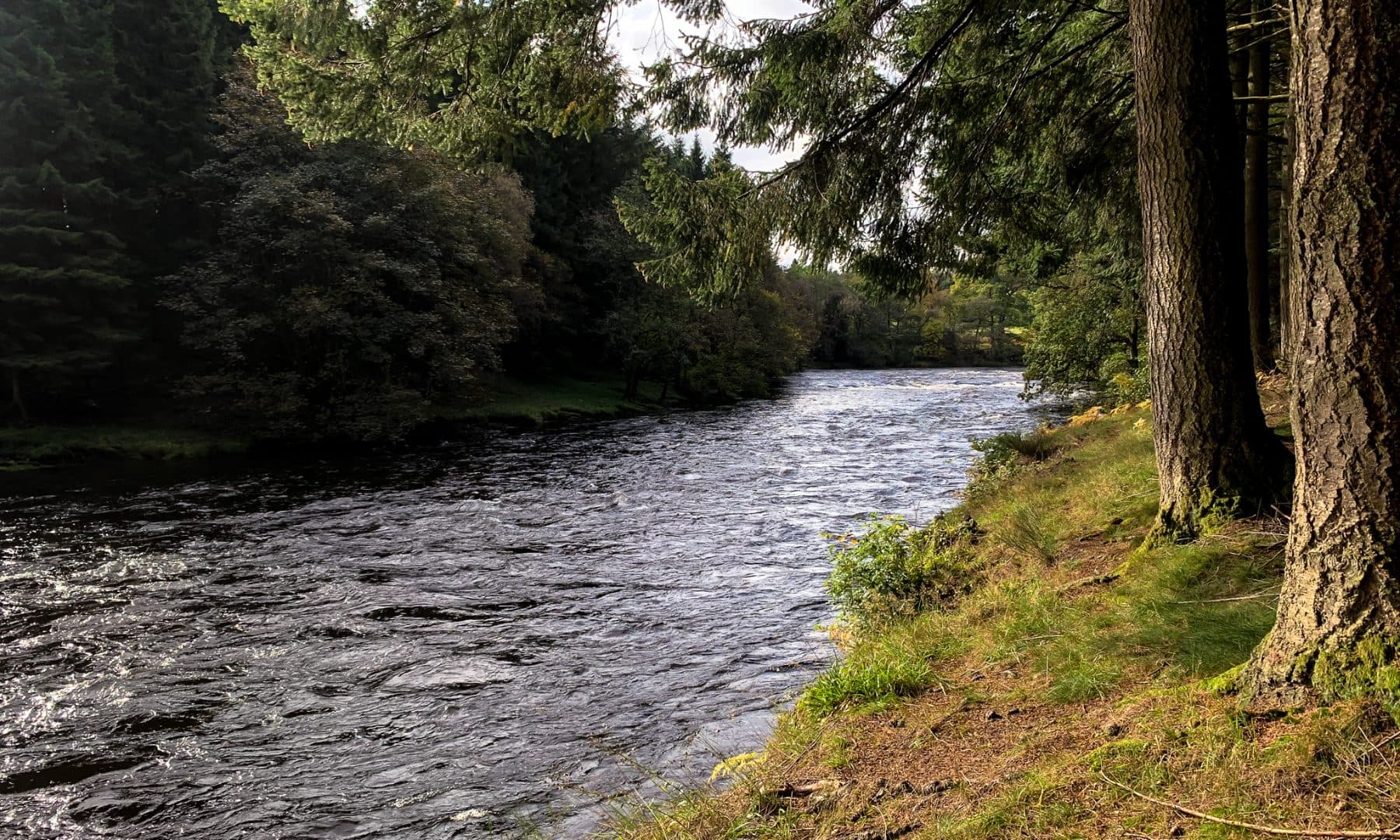 Cambusmore Estate Fishery